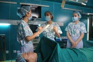 金蝴蝶梦,探寻东方神话的奇幻之旅