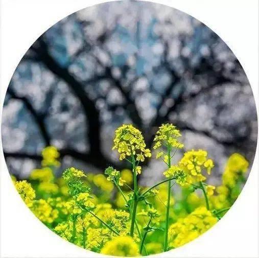 风浅怎及爱深沉,风轻云淡难及爱意深沉