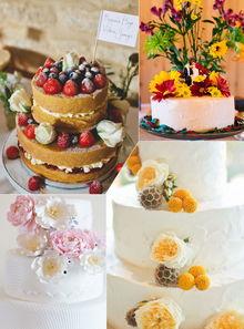 蛋糕 第四季,蛋糕第四季，美味与情感的完美融合