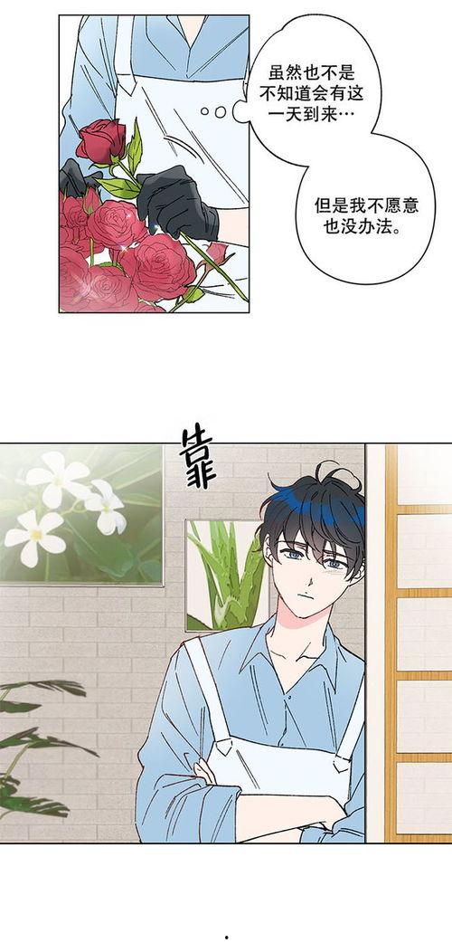 恩秀的好日子,幸福生活的美好篇章