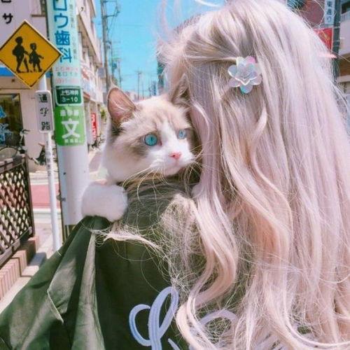 猫样少女,探寻神秘少女的奇幻之旅